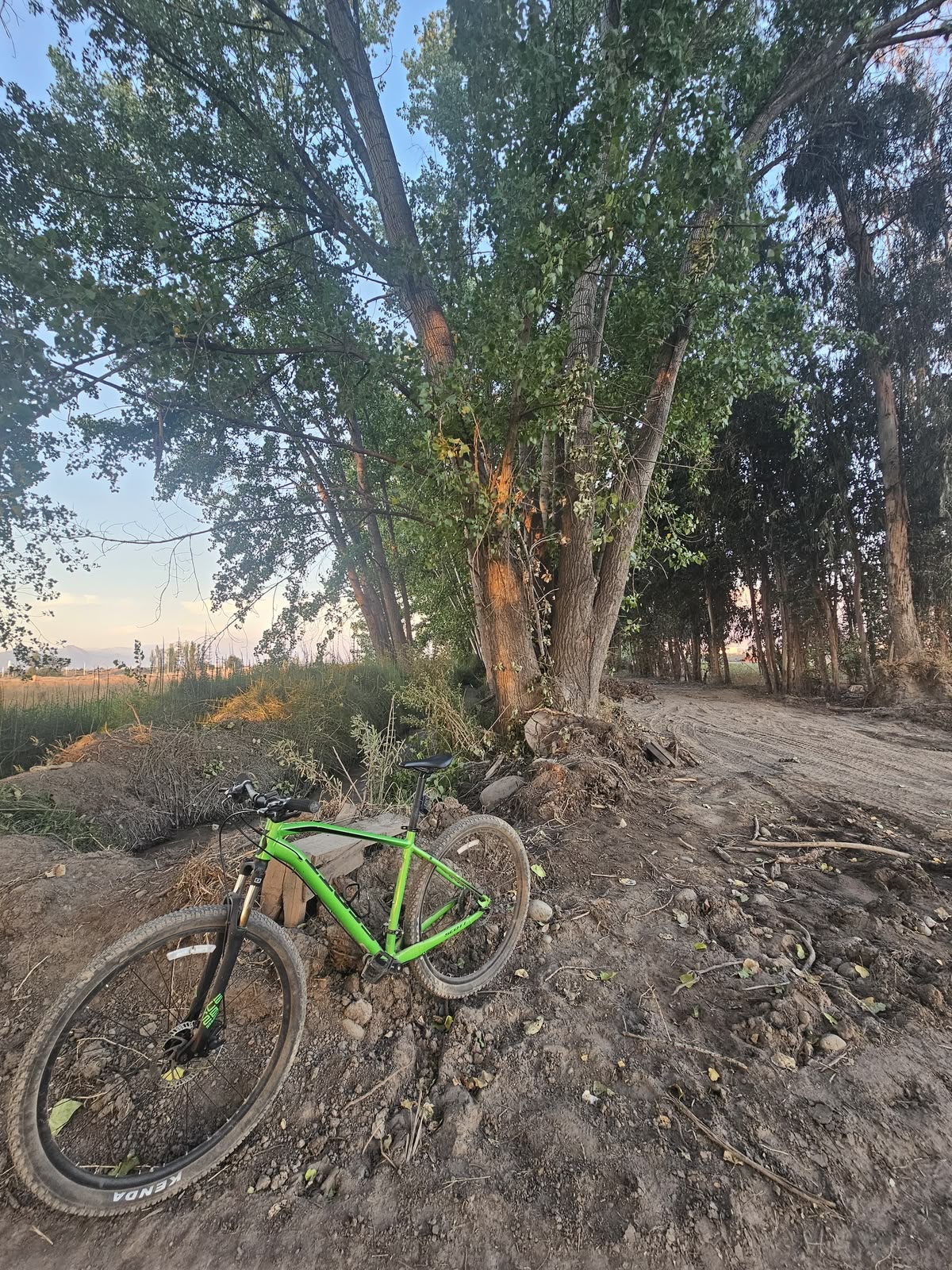 Bicicleta Scott Aspect 970 cod: 21857-12 - Imagen 6