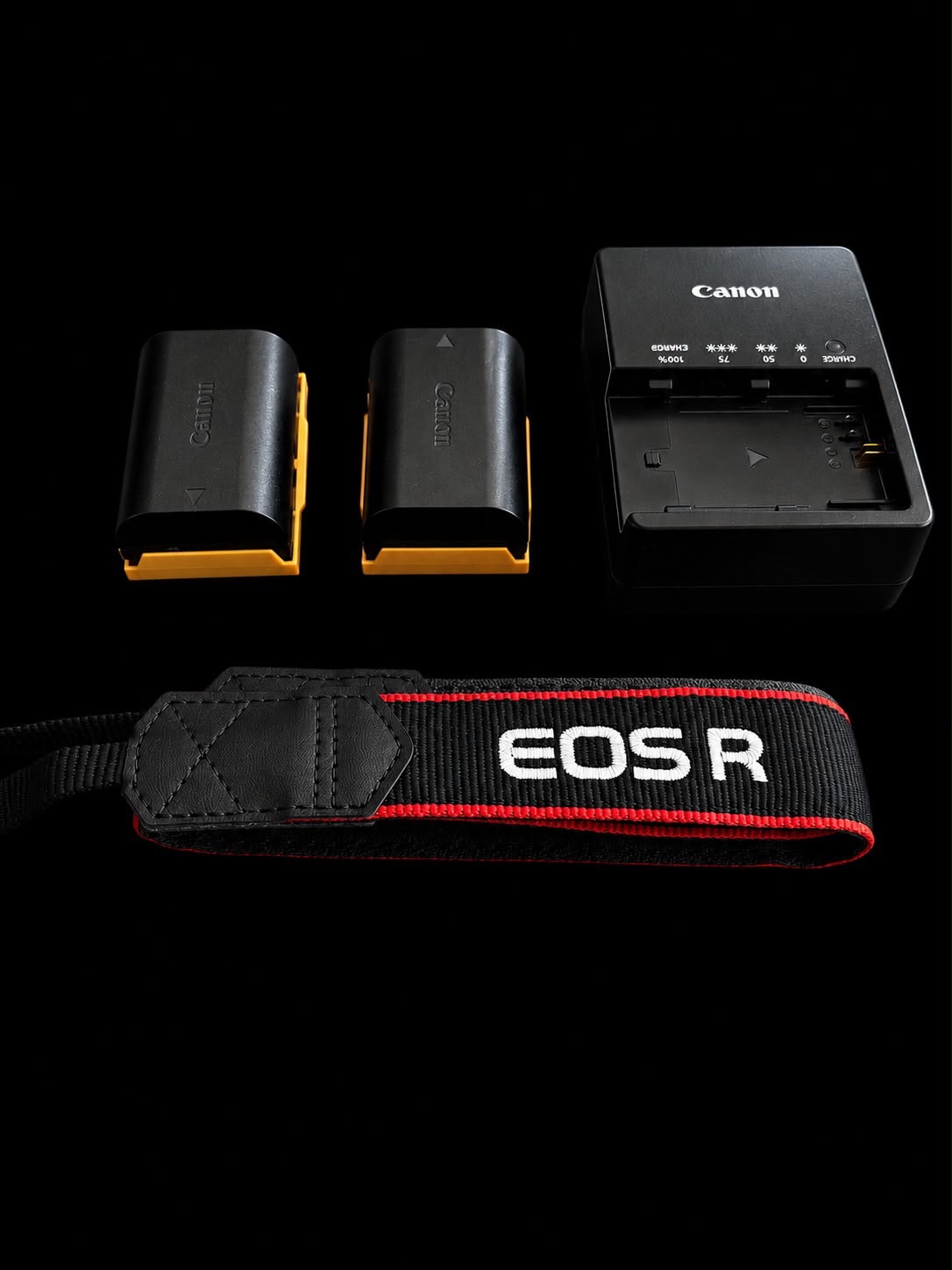 Canon R cod: 21869-1 - Imagen 10