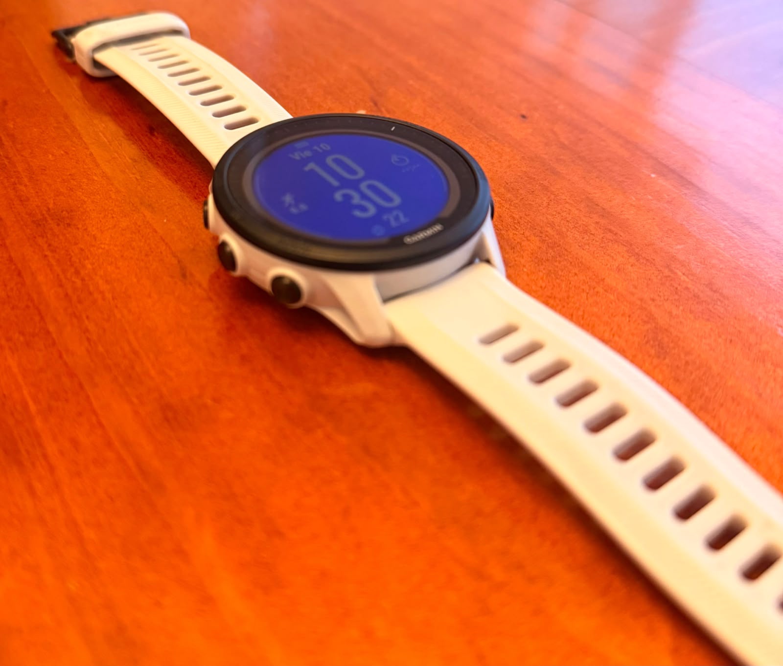 Garmin Forerunner 955 Solar cod: 22080-12 - Imagen 5