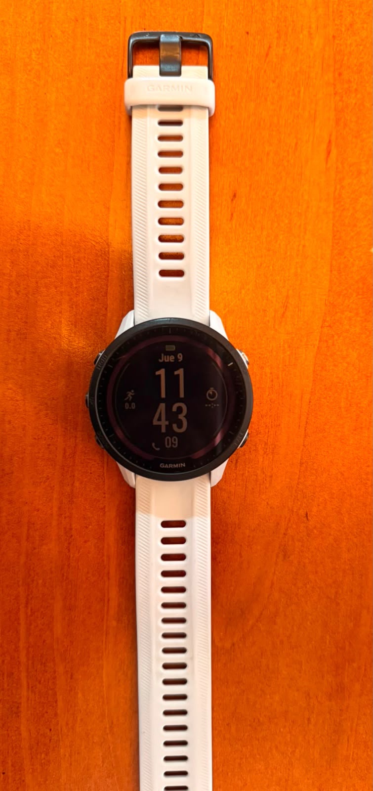 Garmin Forerunner 955 Solar cod: 22080-12 - Imagen 3