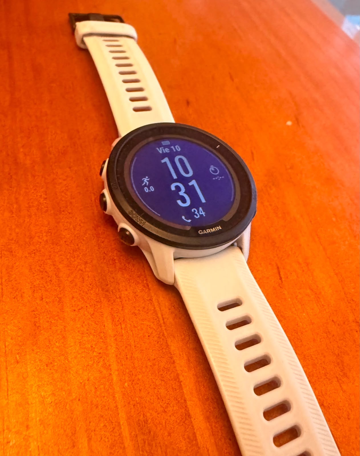 Garmin Forerunner 955 Solar cod: 22080-12 - Imagen 4